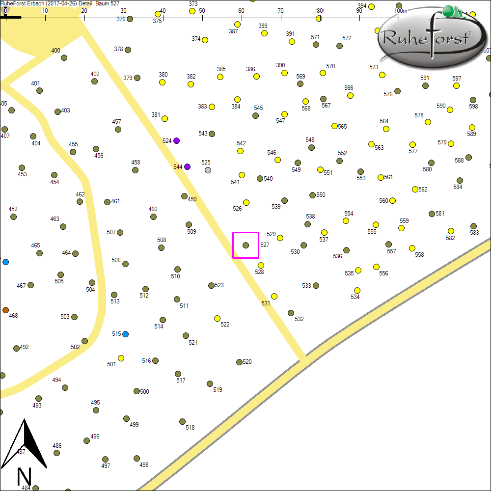 Detailkarte zu Baum 527