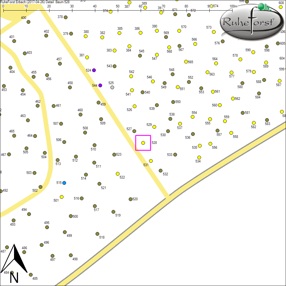 Detailkarte zu Baum 528