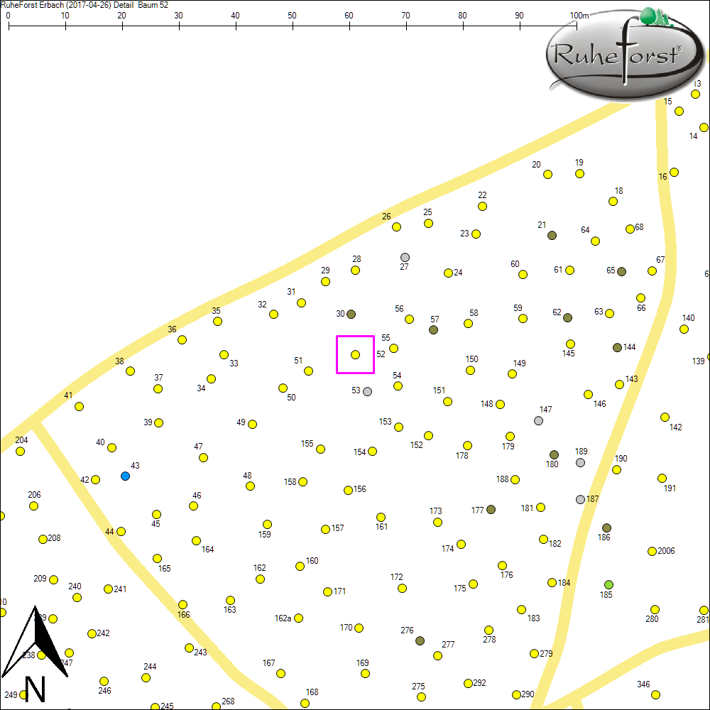 Detailkarte zu Baum 52