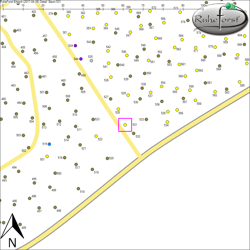 Detailkarte zu Baum 531