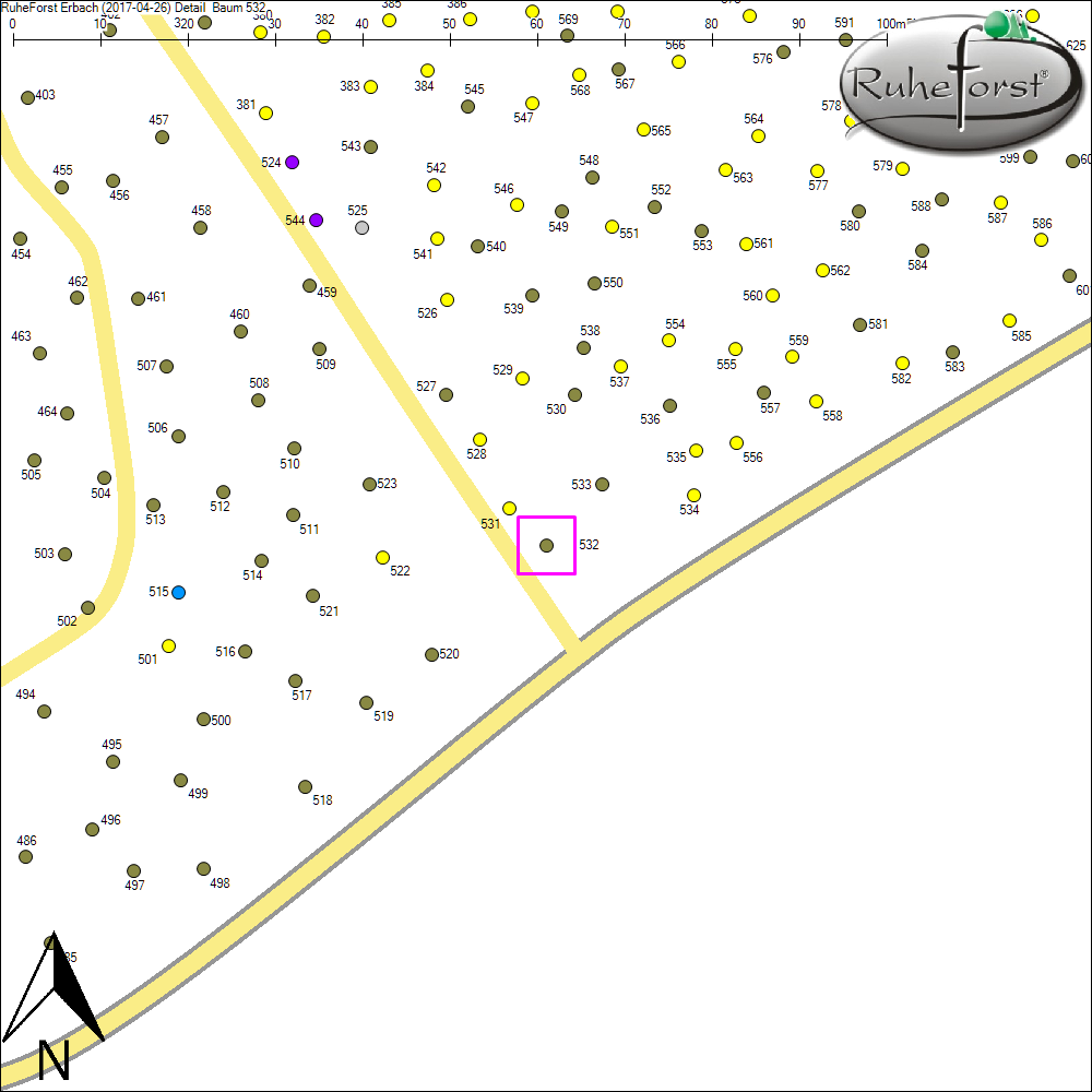 Detailkarte zu Baum 532