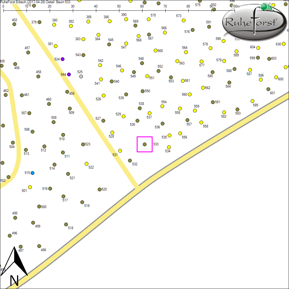 Detailkarte zu Baum 533