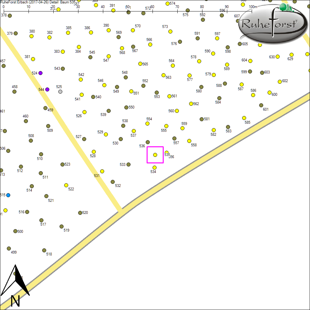 Detailkarte zu Baum 535