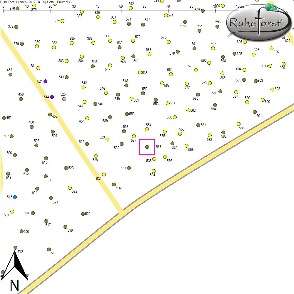 Detailkarte zu Baum 536