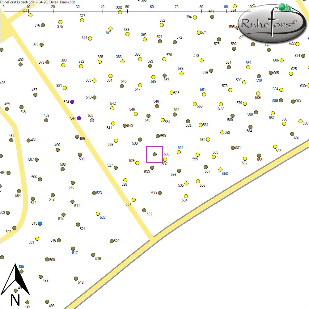 Detailkarte zu Baum 538