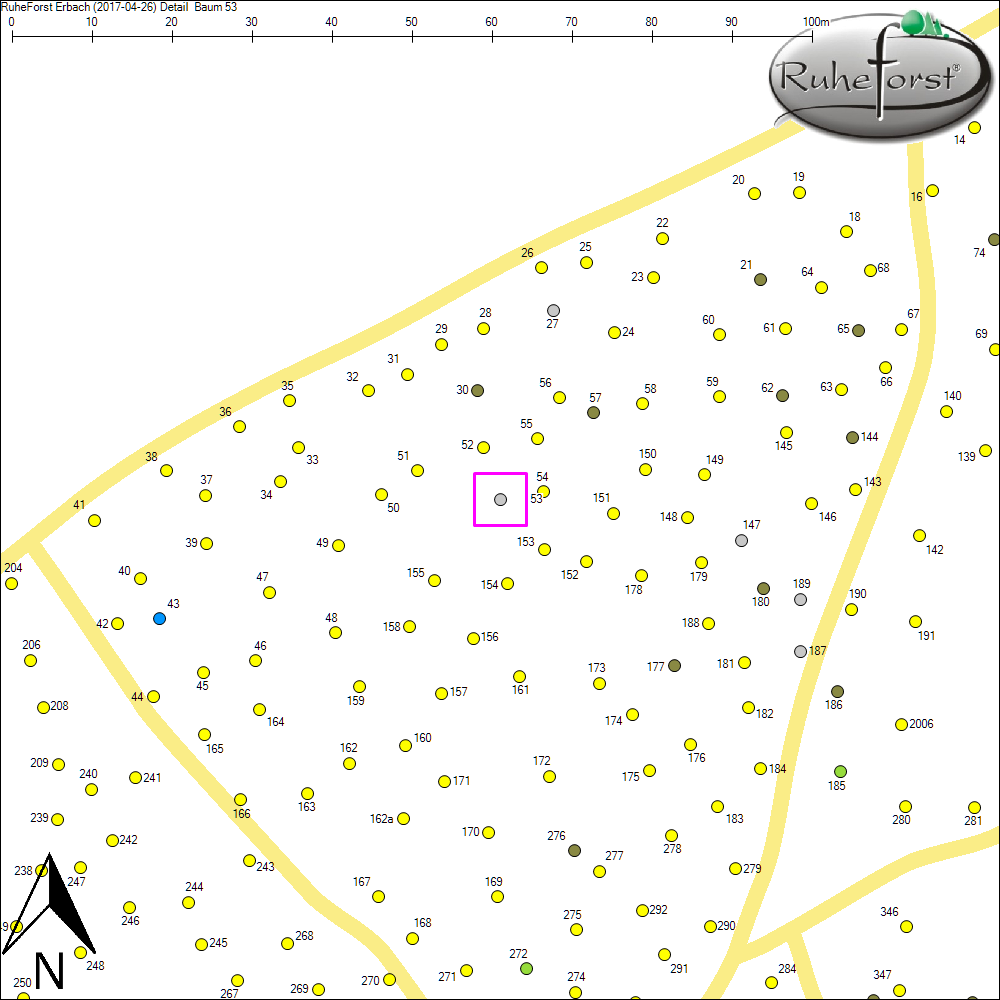 Detailkarte zu Baum 53