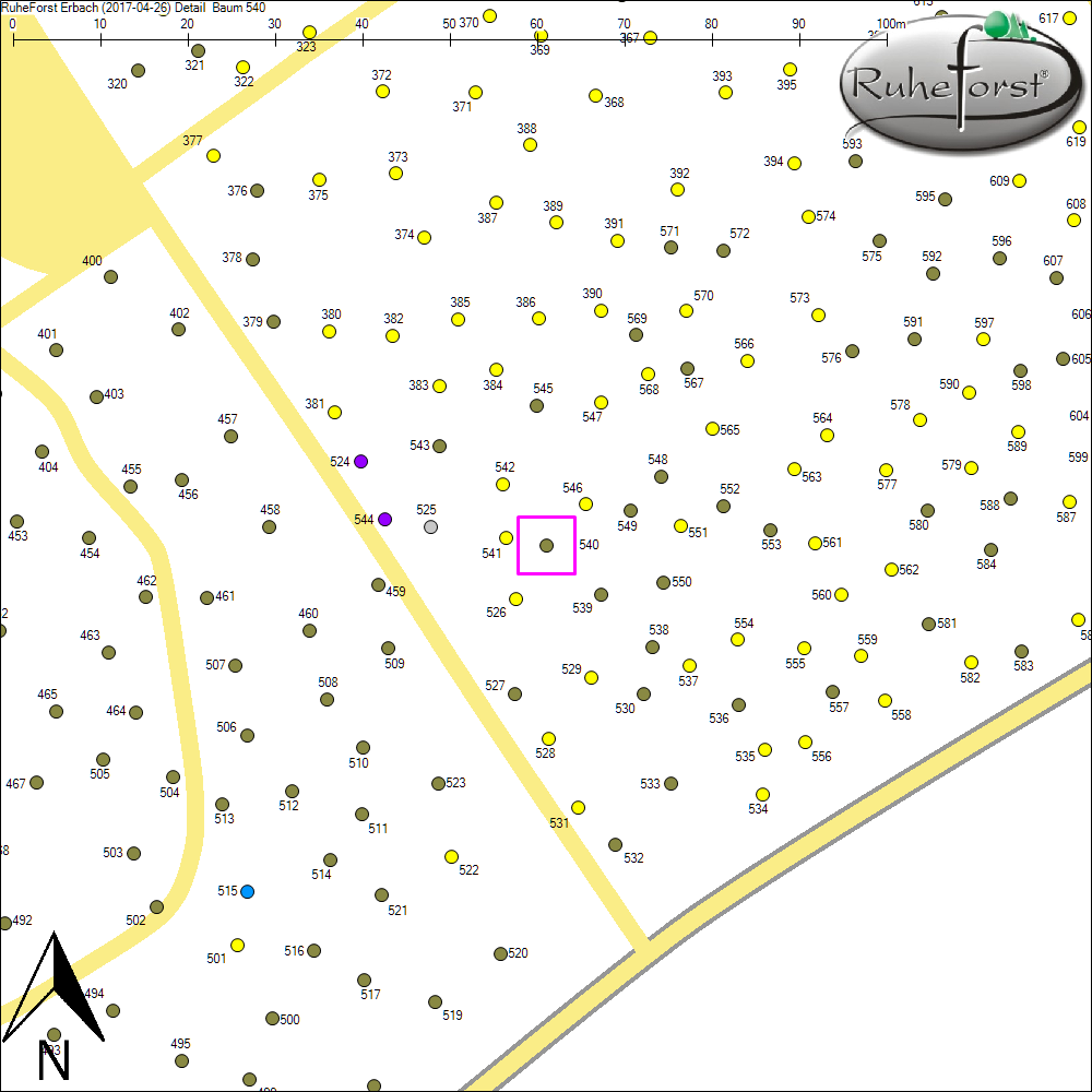Detailkarte zu Baum 540
