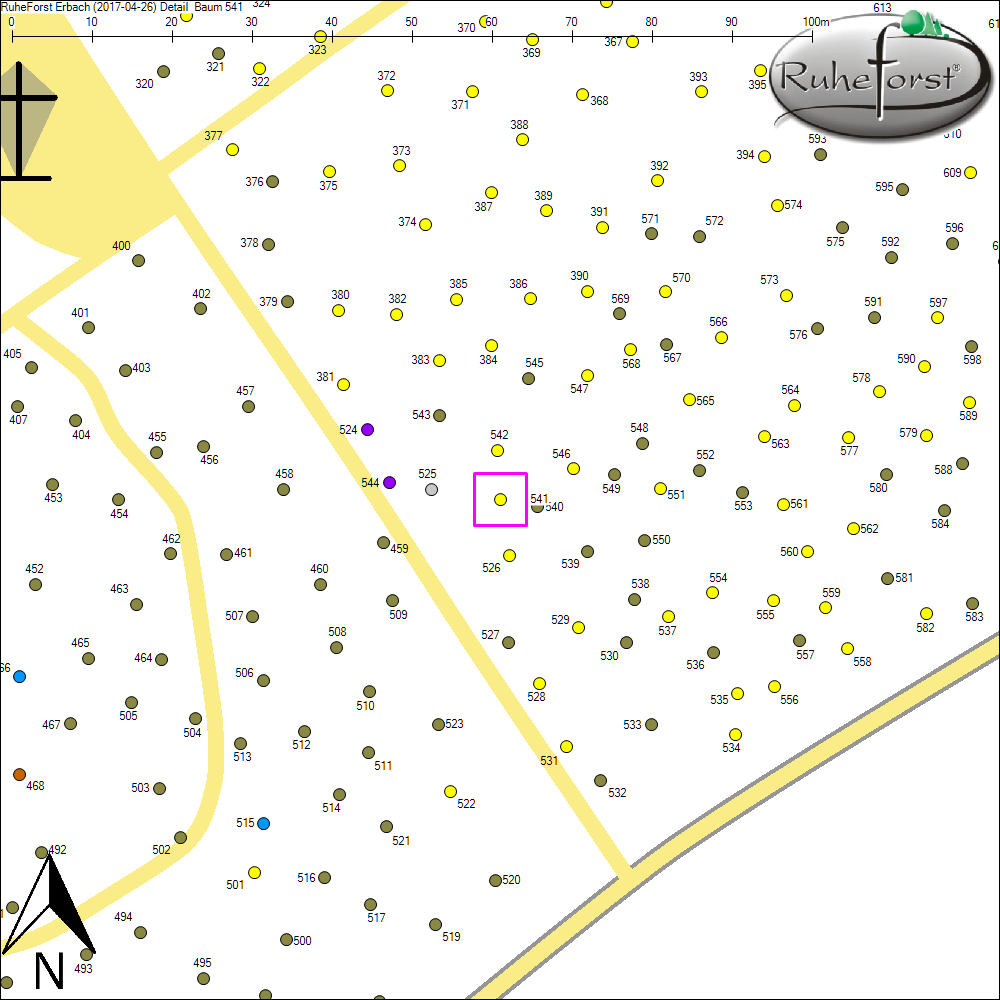 Detailkarte zu Baum 541