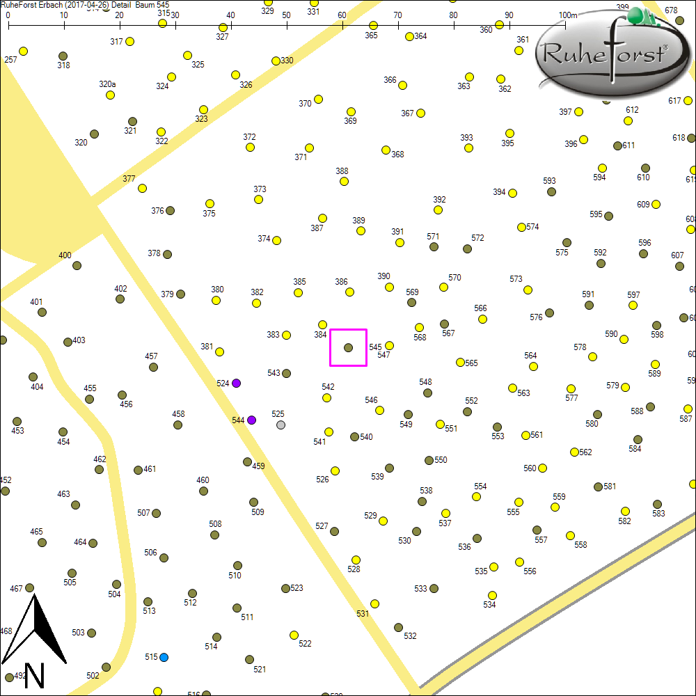 Detailkarte zu Baum 545