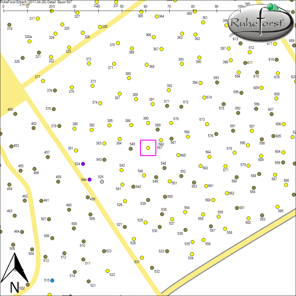 Detailkarte zu Baum 547