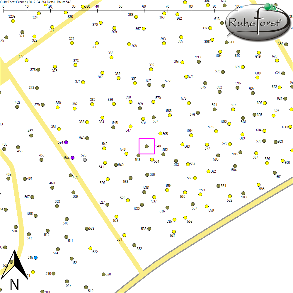 Detailkarte zu Baum 548