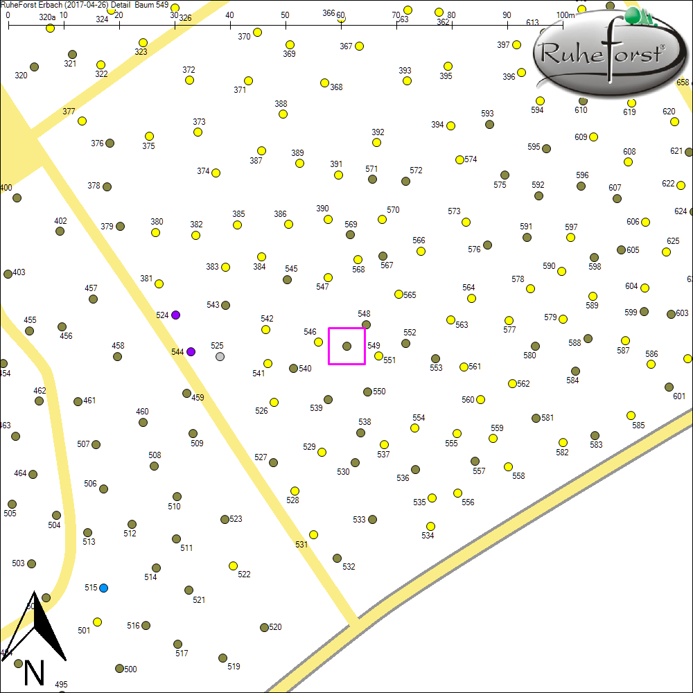 Detailkarte zu Baum 549