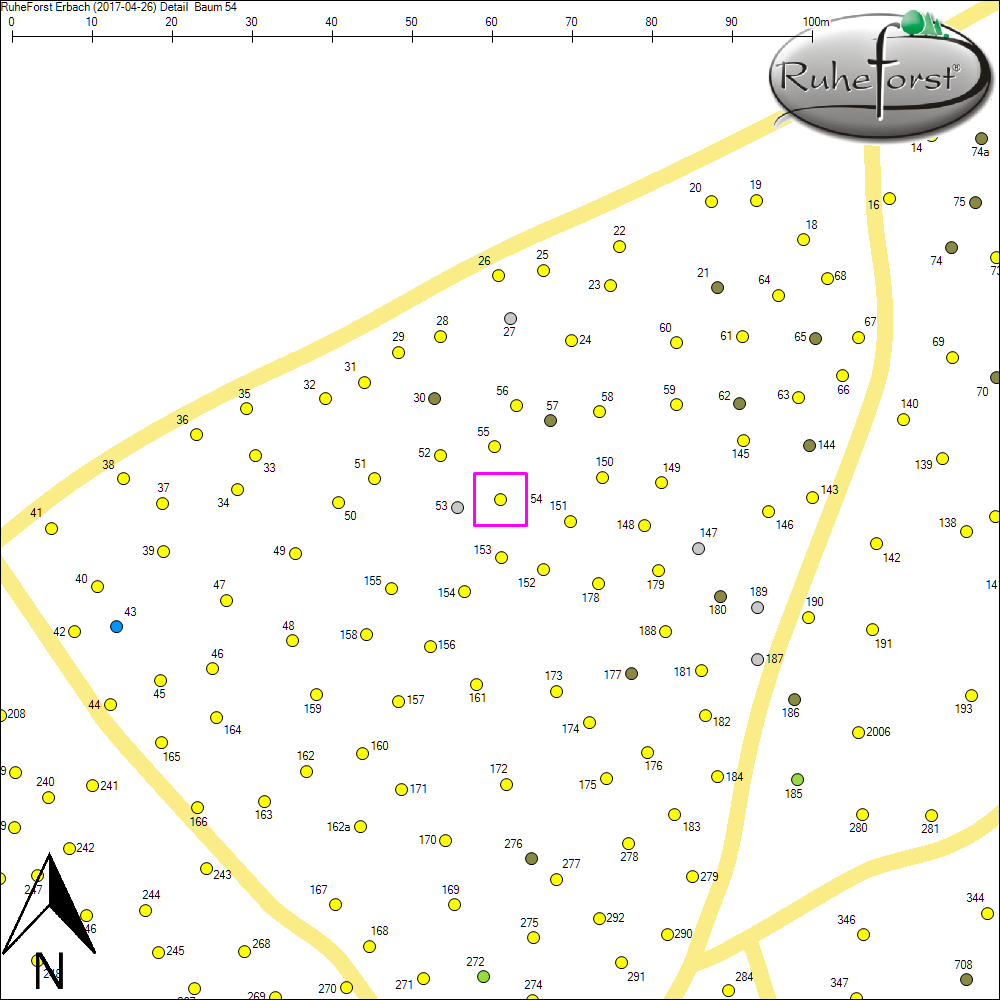 Detailkarte zu Baum 54