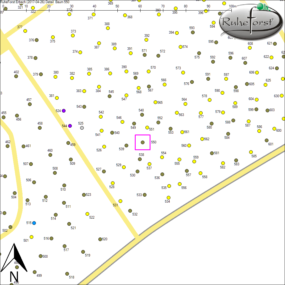 Detailkarte zu Baum 550