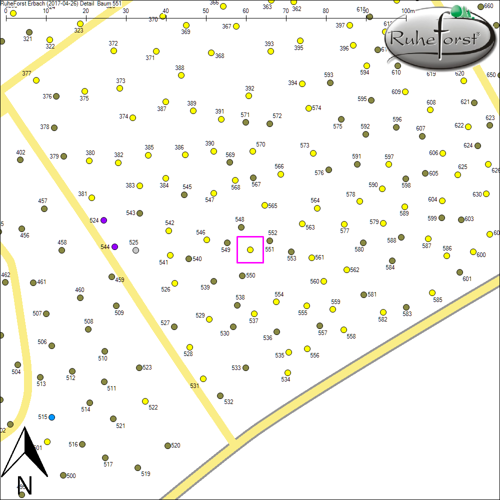 Detailkarte zu Baum 551