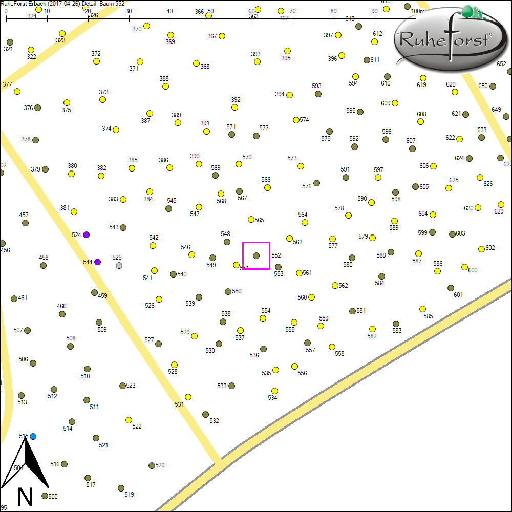 Detailkarte zu Baum 552