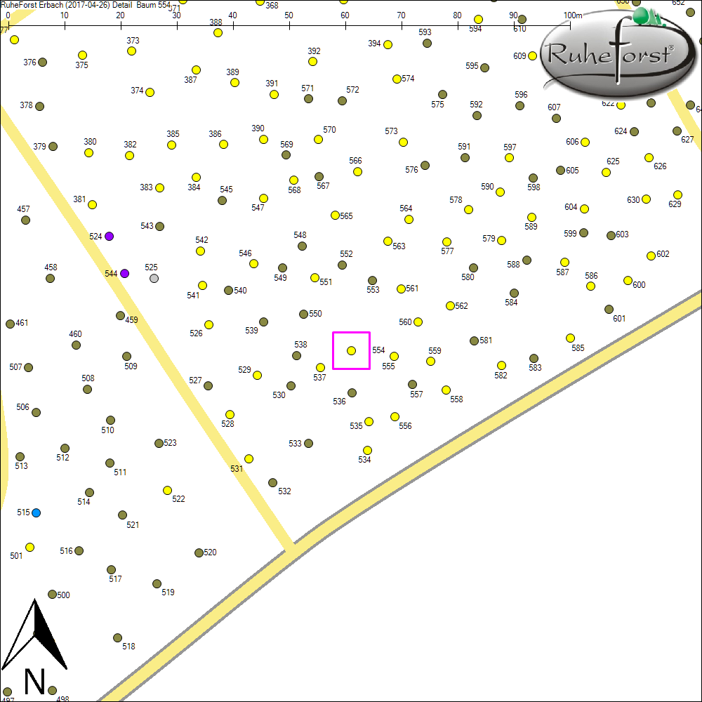 Detailkarte zu Baum 554