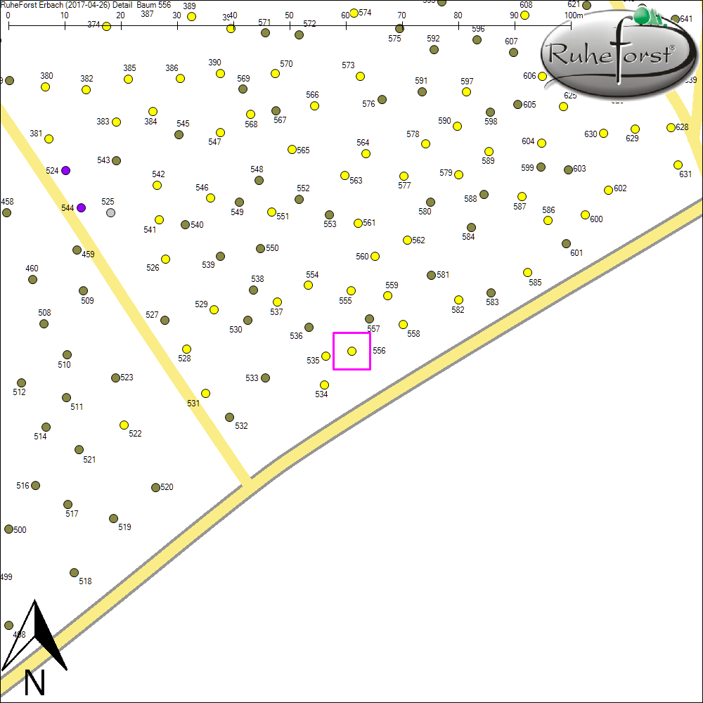 Detailkarte zu Baum 556