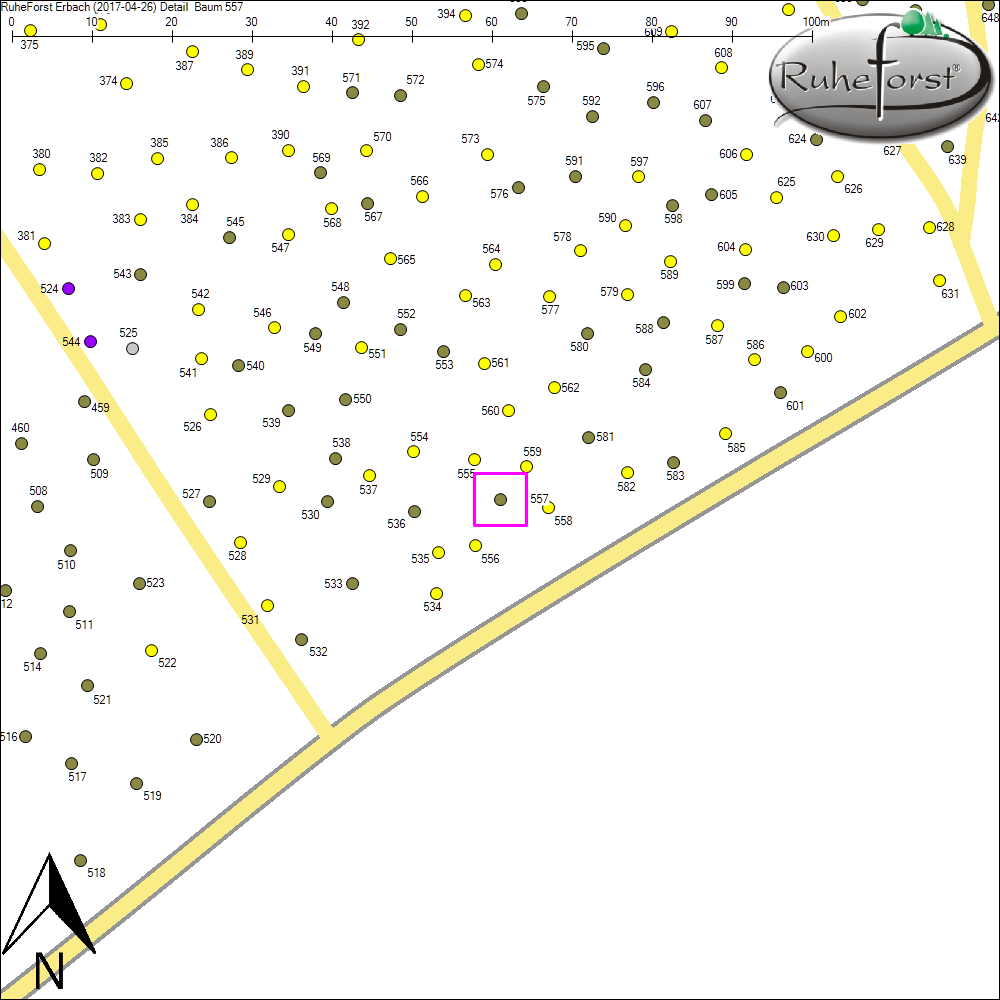 Detailkarte zu Baum 557