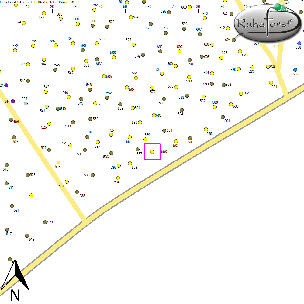 Detailkarte zu Baum 558