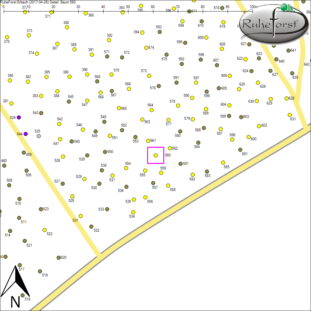 Detailkarte zu Baum 560