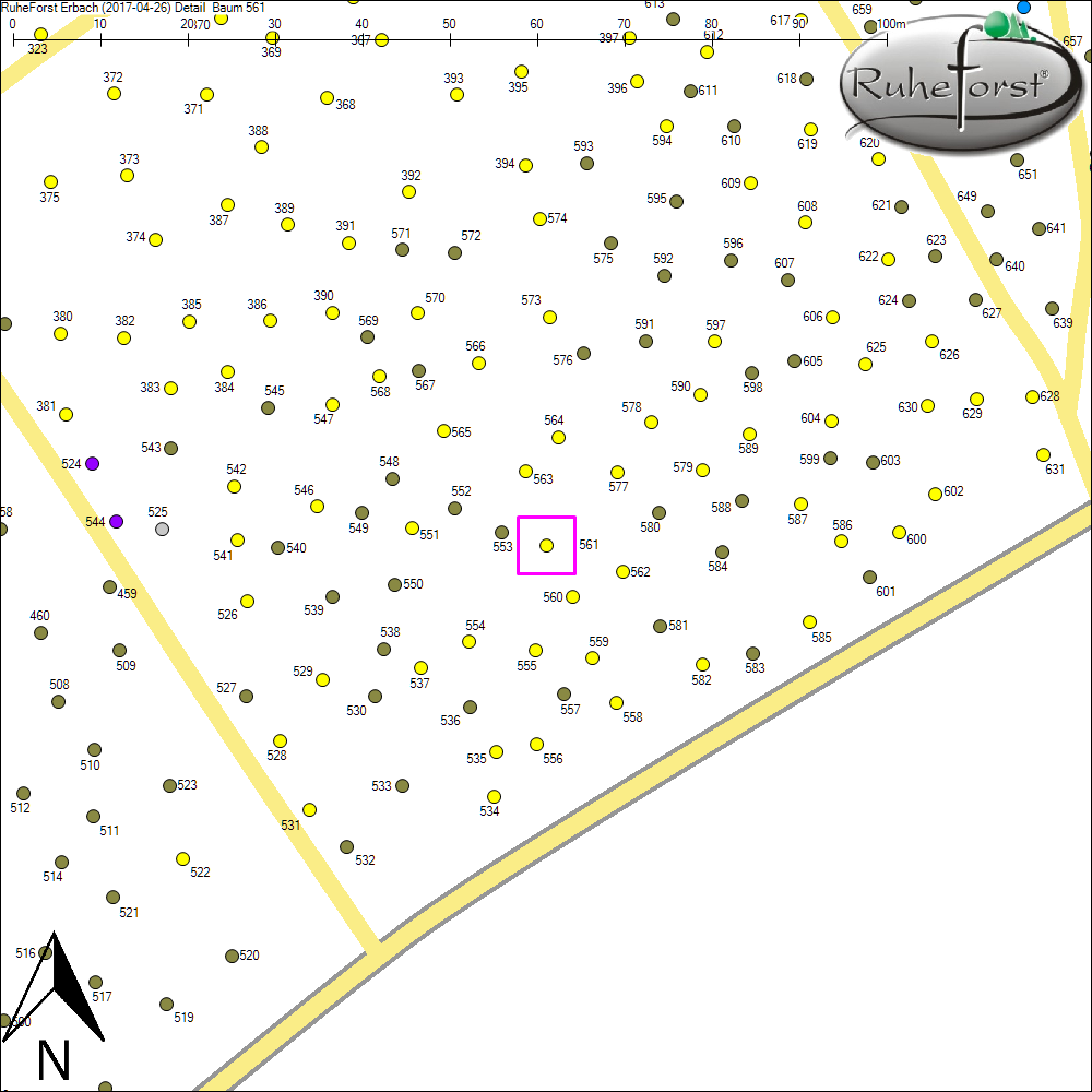 Detailkarte zu Baum 561