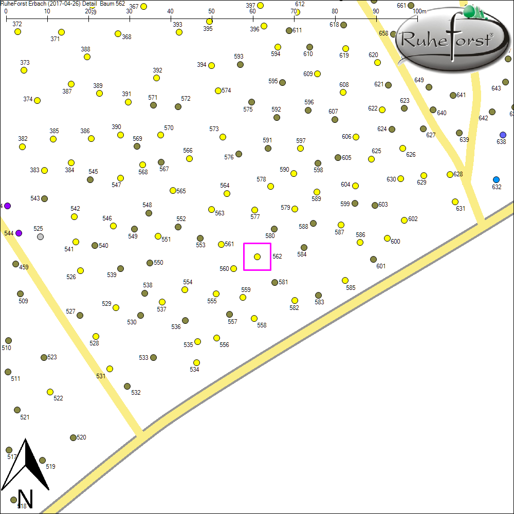Detailkarte zu Baum 562