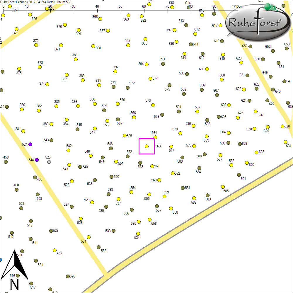 Detailkarte zu Baum 563