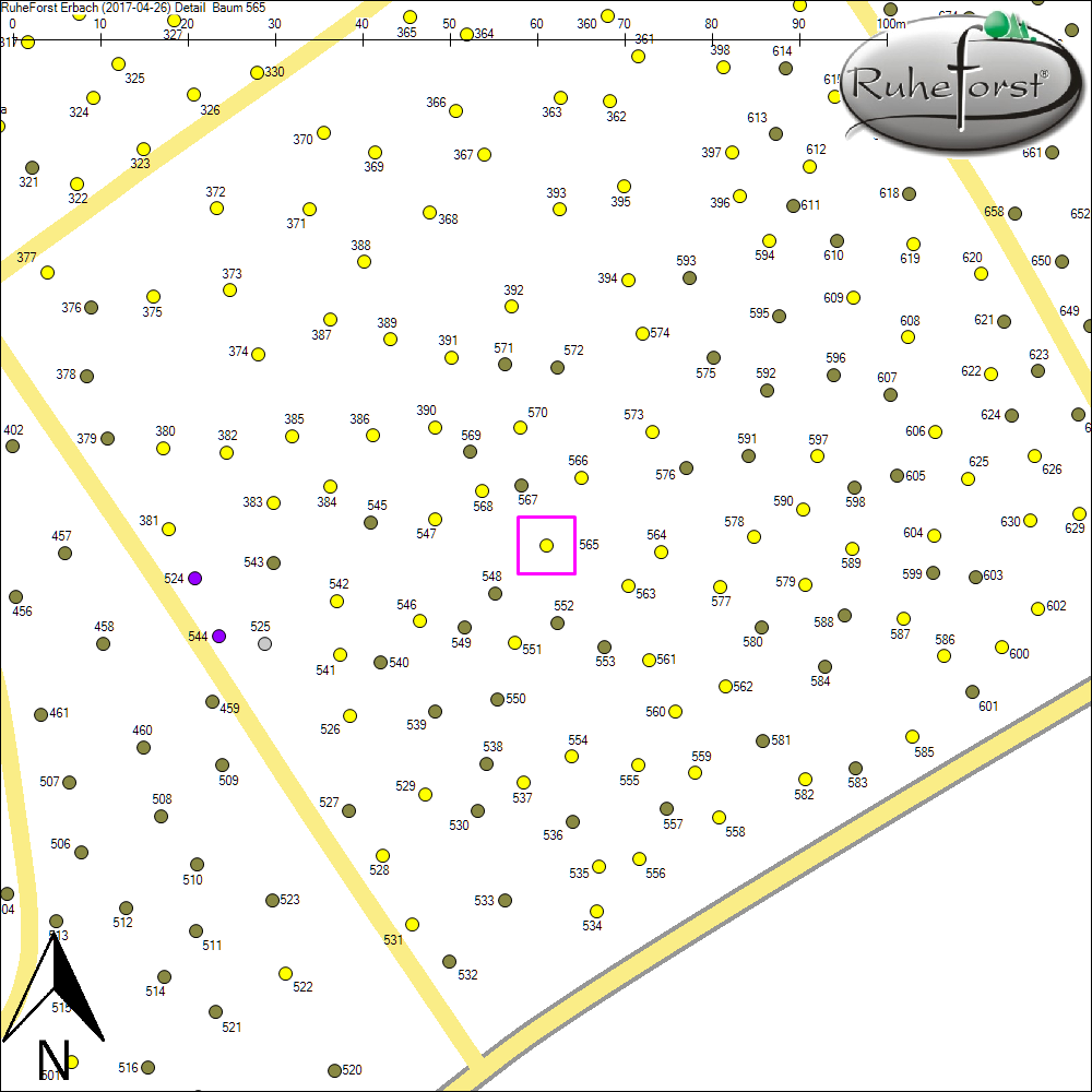 Detailkarte zu Baum 565