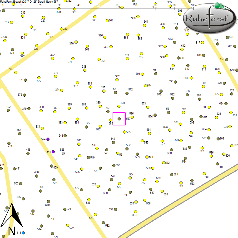 Detailkarte zu Baum 567