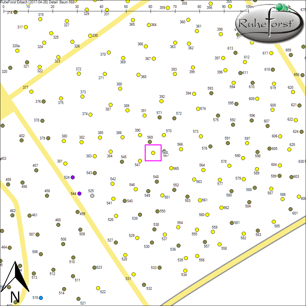 Detailkarte zu Baum 568