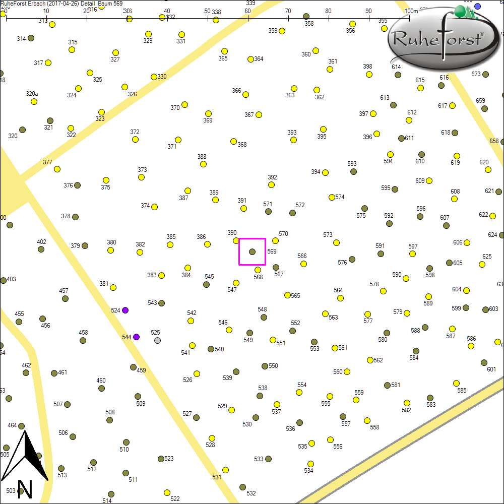 Detailkarte zu Baum 569