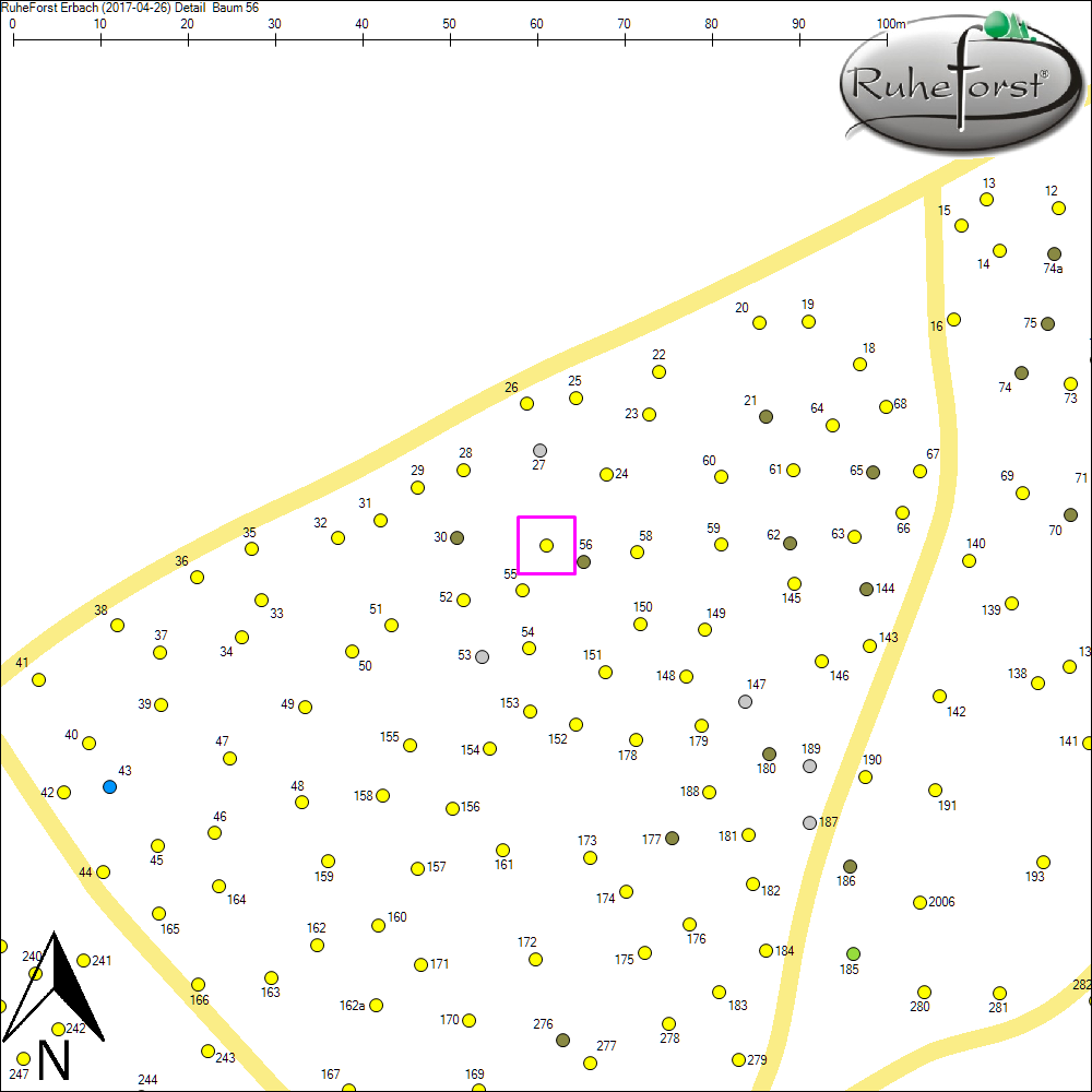Detailkarte zu Baum 56