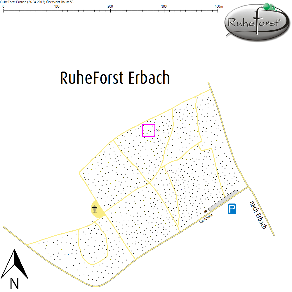 &Uuml;bersichtskarte zu Baum 56