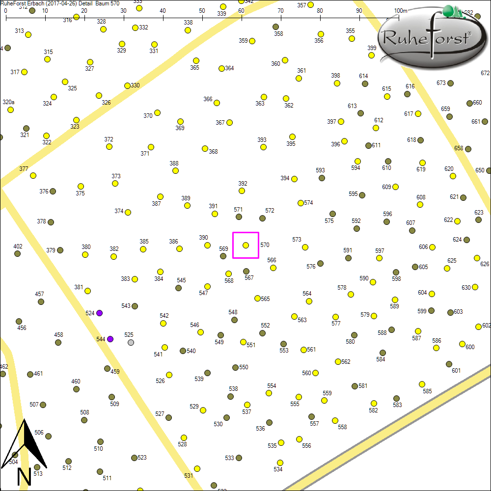 Detailkarte zu Baum 570