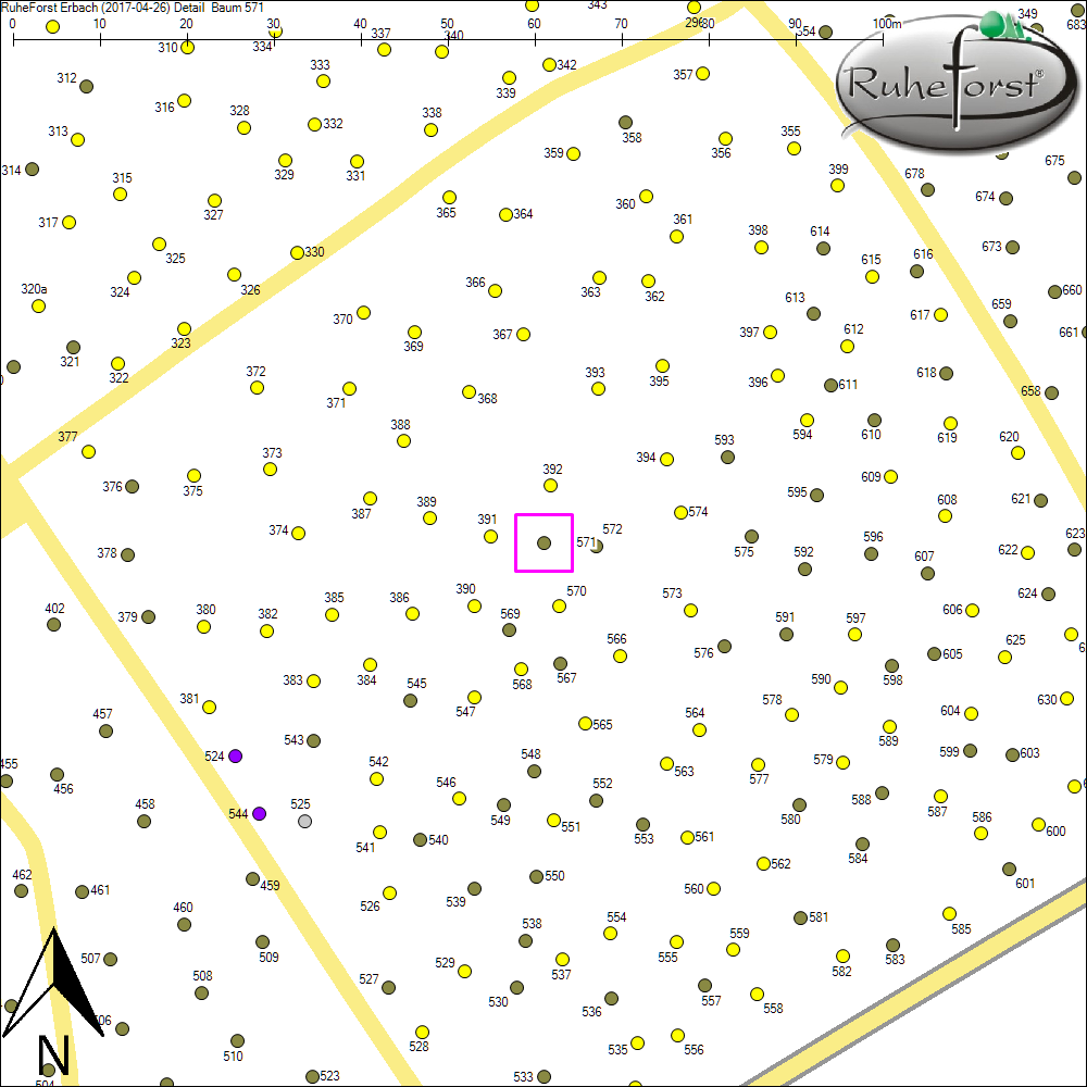 Detailkarte zu Baum 571