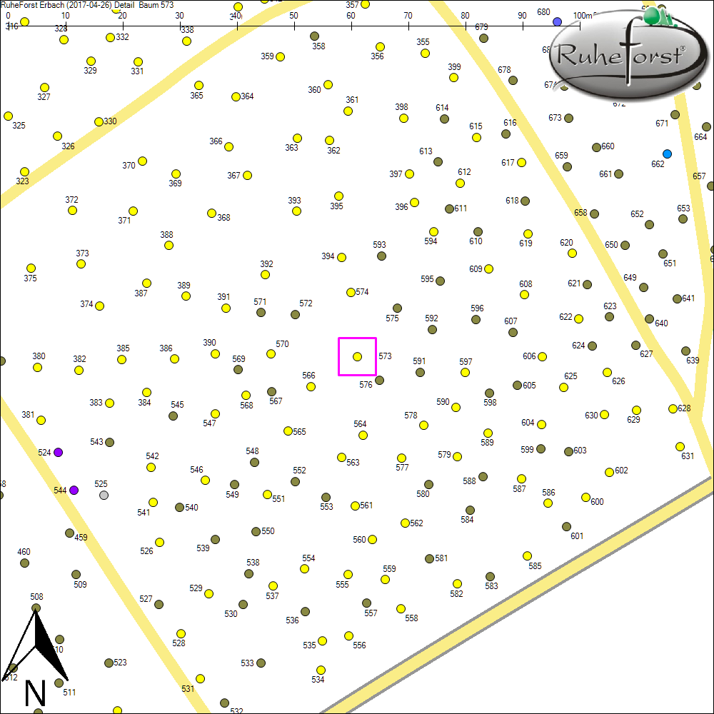 Detailkarte zu Baum 573