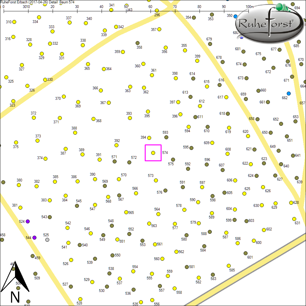 Detailkarte zu Baum 574