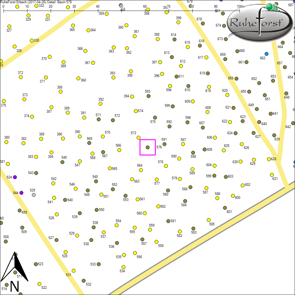 Detailkarte zu Baum 576