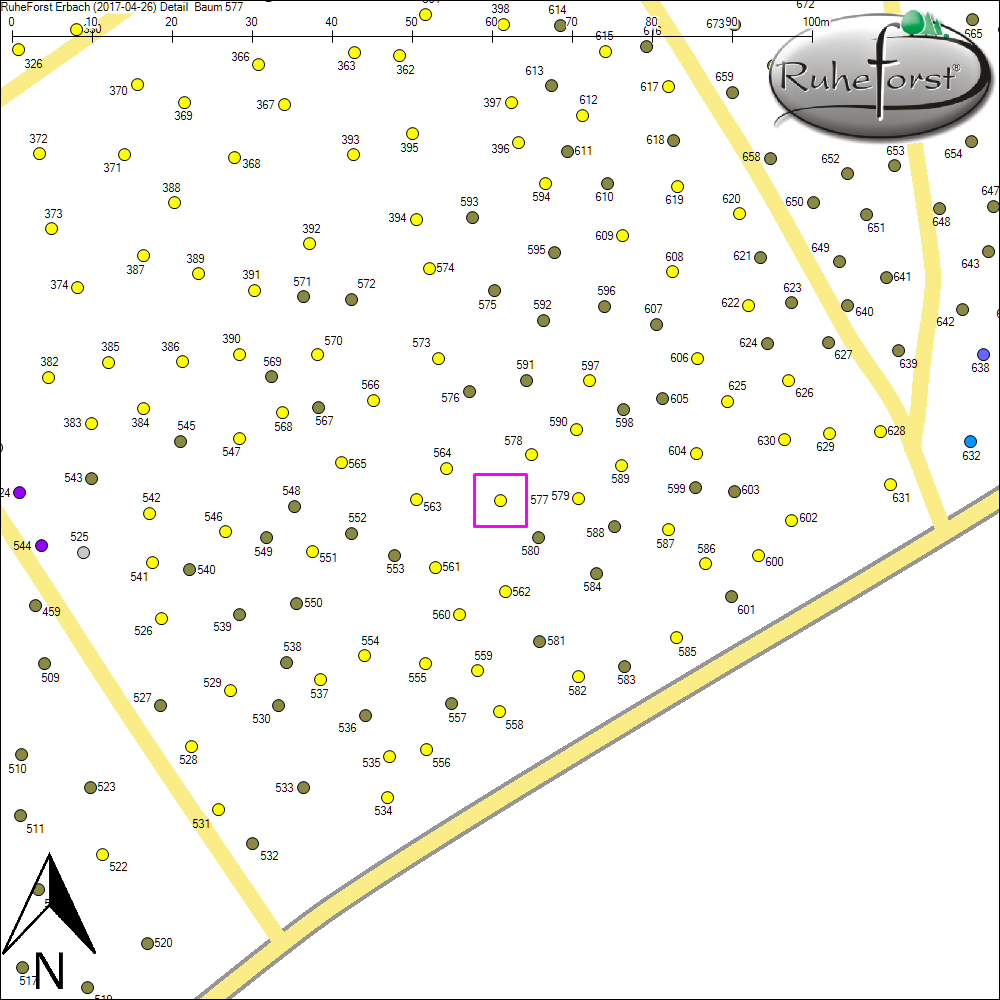 Detailkarte zu Baum 577