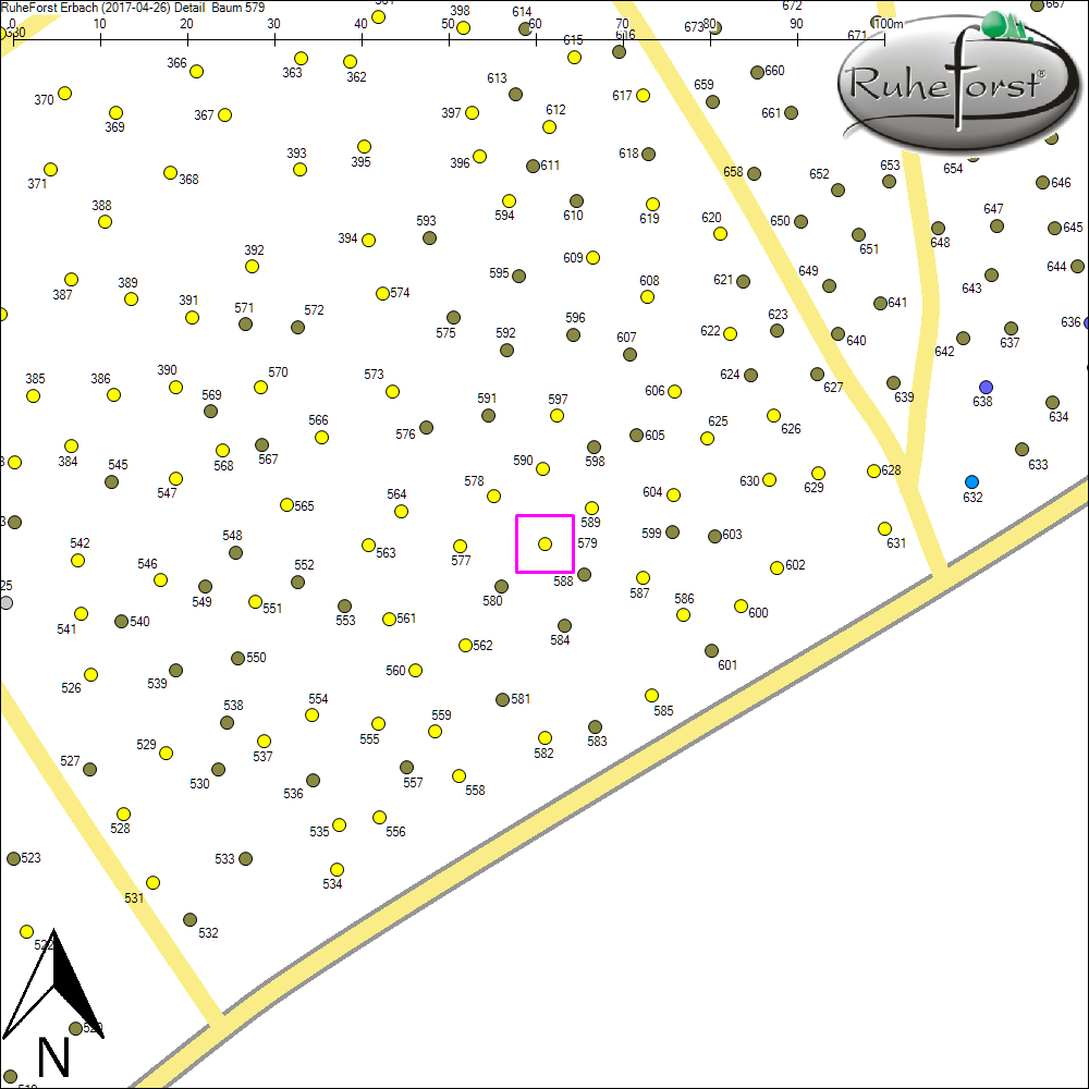 Detailkarte zu Baum 579