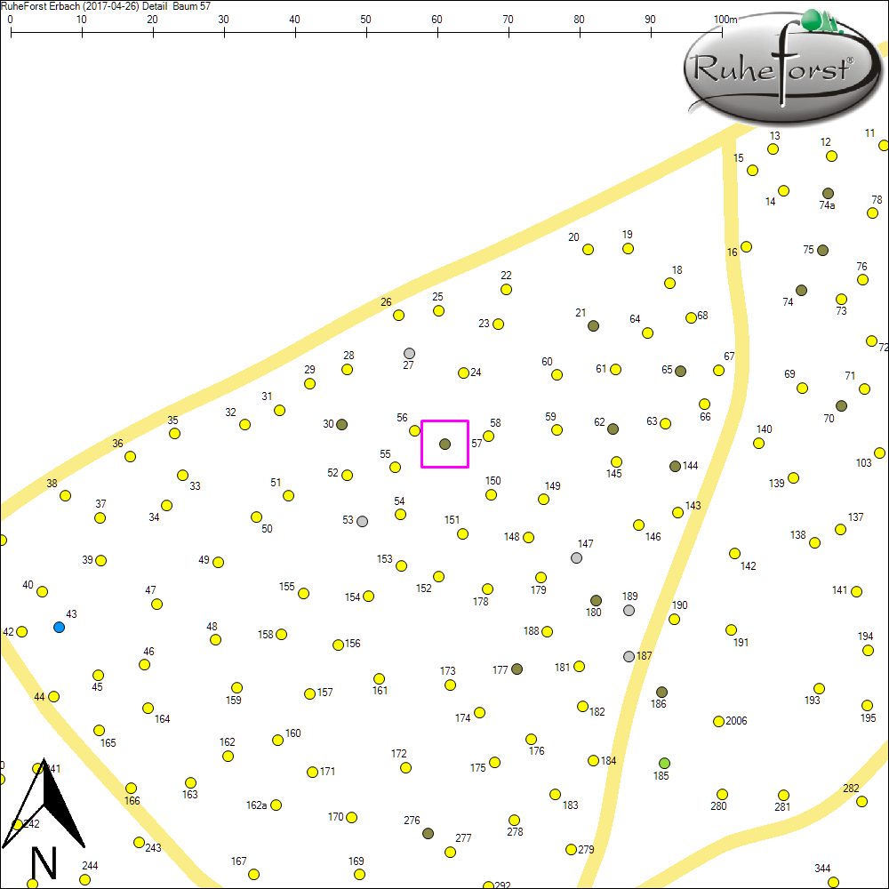 Detailkarte zu Baum 57