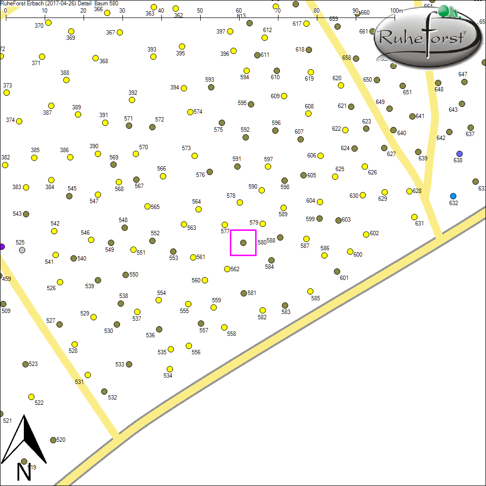 Detailkarte zu Baum 580
