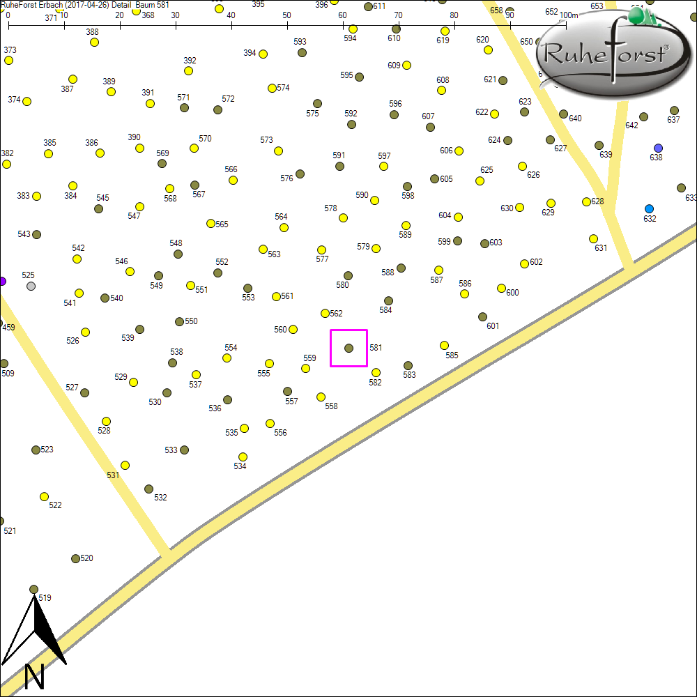 Detailkarte zu Baum 581