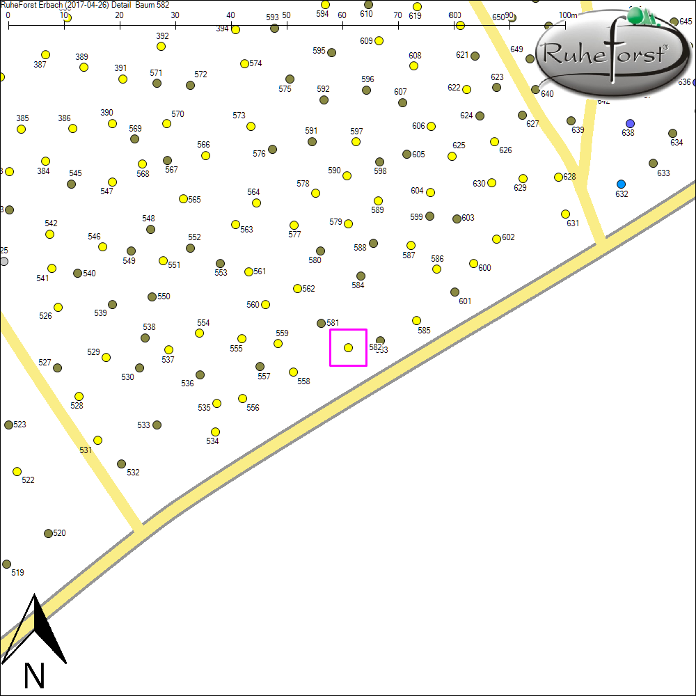 Detailkarte zu Baum 582