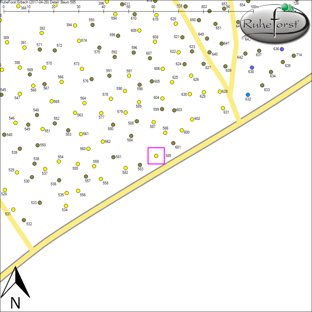 Detailkarte zu Baum 585