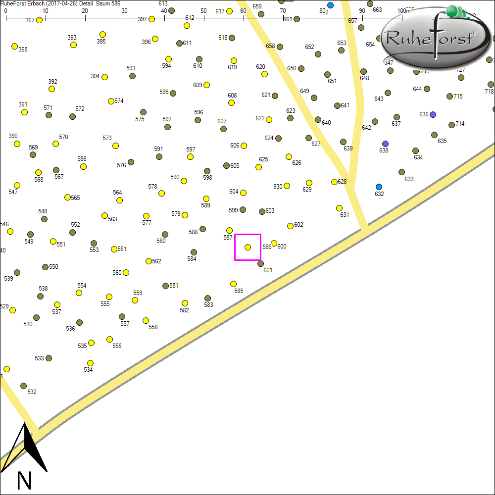 Detailkarte zu Baum 586