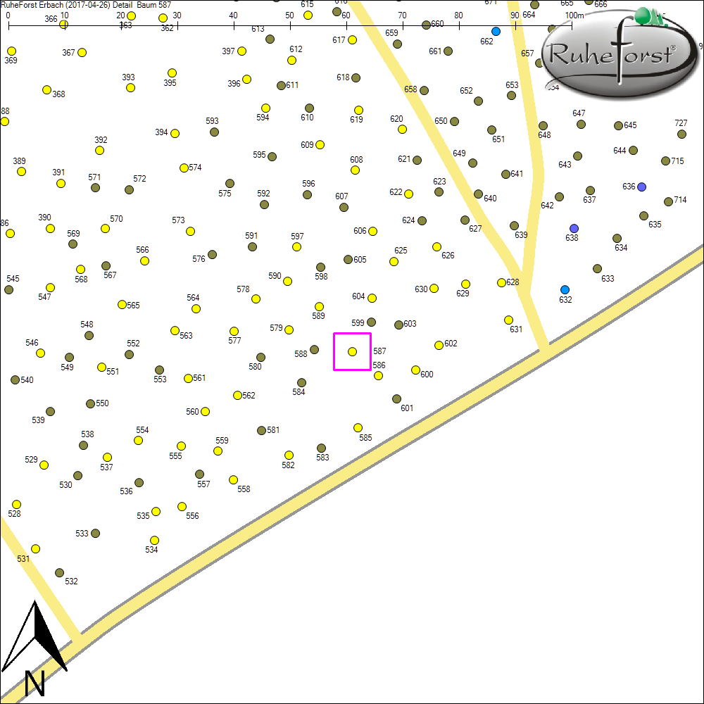Detailkarte zu Baum 587