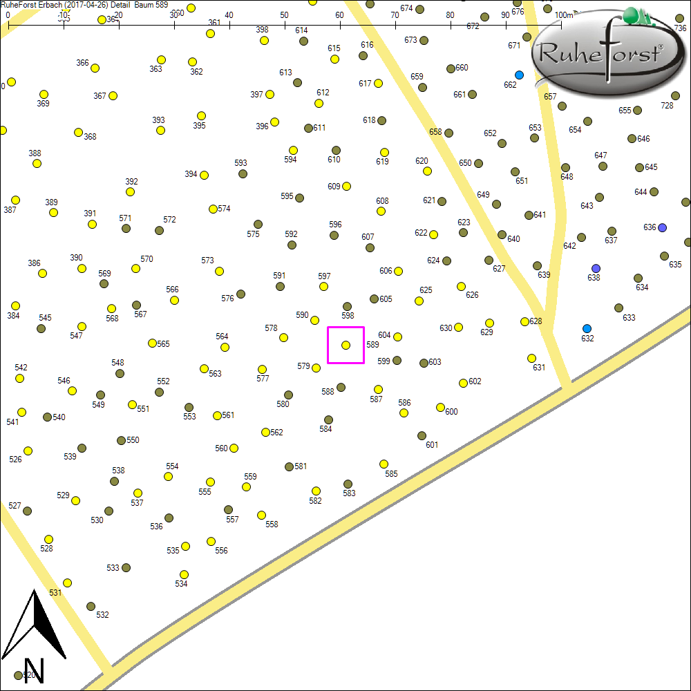 Detailkarte zu Baum 589