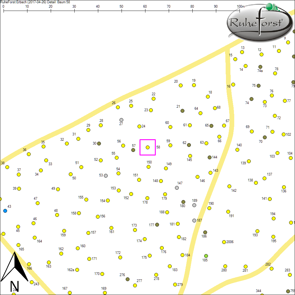 Detailkarte zu Baum 58